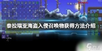 泰拉瑞亚怎么召唤海盗领主 怎么快速获取《泰拉瑞亚》海盗入侵召唤物