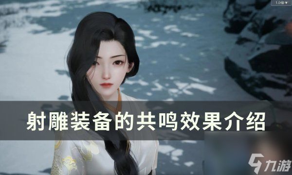 《<a id='link_pop' class='keyword-tag' href='https://www.9game.cn/shediao/'>射雕</a>》装备的共鸣效果是什么 装备的共鸣效果介绍