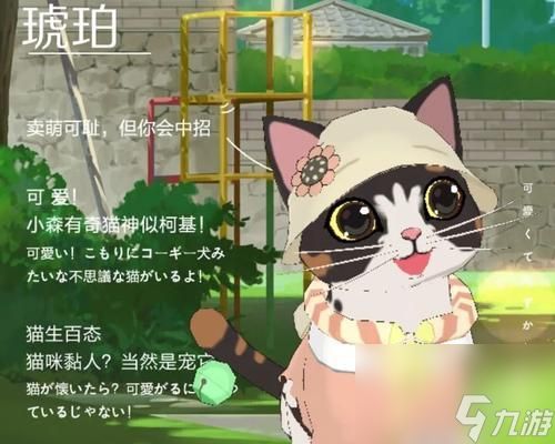 小森生活猫咪选美大赛，玩转猫咪世界（如何参与猫咪选美大赛）