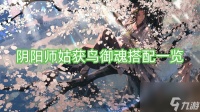 阴阳师姑获鸟御魂搭配介绍