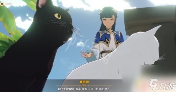 原神俩猫 塞塔蕾的猫名字介绍