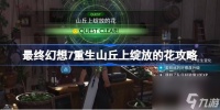 FF7重生山丘上绽放的花怎么做 最终幻想7重生山丘上绽放的花攻略