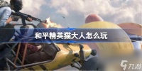 和平精英猫大人怎么玩 和平精英猫大人活动