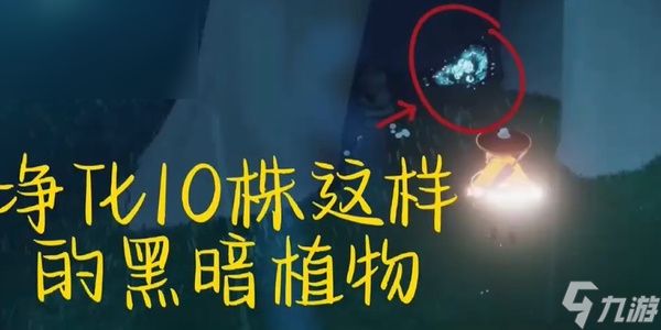 光遇每日任务攻略3.12