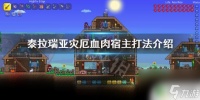 泰拉瑞亚血肉打法 泰拉瑞亚灾厄血肉宿主打法详解