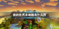 我的世界末地烛的效果与应用