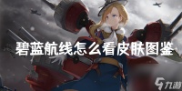 碧蓝航线怎么看皮肤图鉴 查看皮肤全图方法介绍