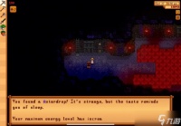 《星露谷物语》星之果实怎么获取 星之果实全收集方法介绍