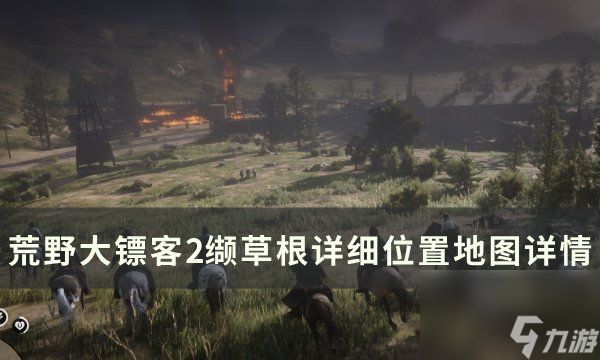 《<a id='link_pop' class='keyword-tag' href='https://www.9game.cn/hydbk2/'>荒野大镖客2</a>》缬草根怎么获得 缬草根详细位置<a linkid=151732>地图</a>详情