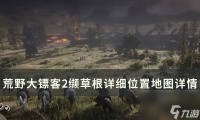 《荒野大镖客2》缬草根怎么获取 缬草根详细在哪里地图详情