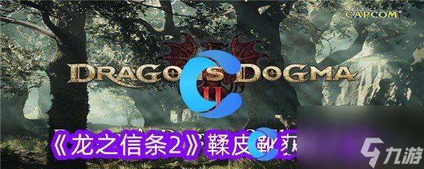 《龙之信条2》鞣皮靴获取方法