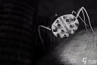 《内容警告》游戏蜘蛛怎么应付  游戏蜘蛛应付方法请查收