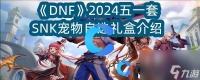 《DNF》2024五一套SNK宠物自选礼盒介绍