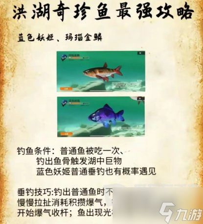 欢乐钓鱼大师洪湖最后两条鱼在哪 欢乐钓鱼大师洪湖最后两条鱼位置一览