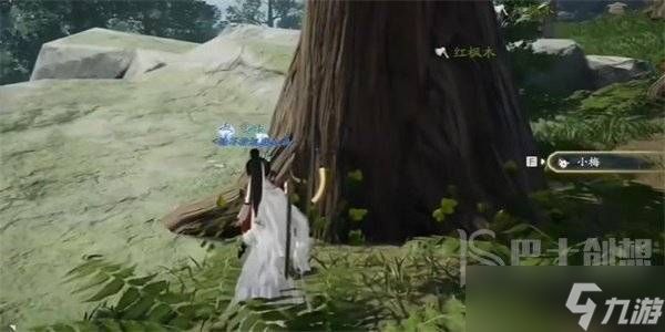 射雕金盏罗盘在哪里 金盏罗盘获取方法介绍