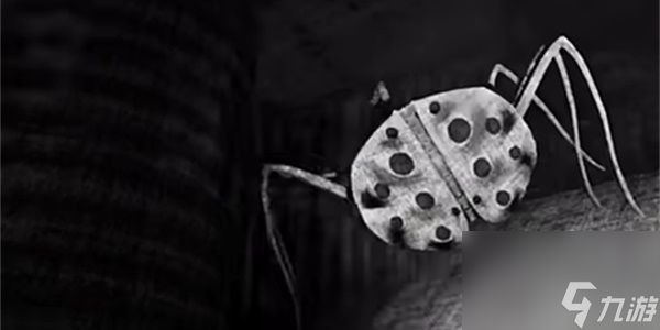 内容警告蜘蛛怎么打