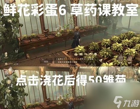 哈利波特魔法觉醒鲜花彩蛋触发攻略 具体一览