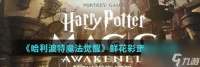 哈利波特魔法觉醒鲜花彩蛋触发攻略 具体介绍