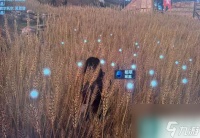 颂钟长鸣稻草在哪 稻草获取在哪里攻略