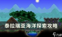 《泰拉瑞亚》海洋地形判定方法详情 海洋探索攻略