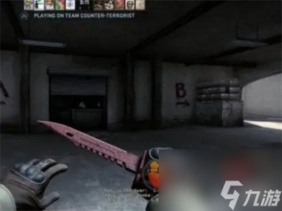 CSGO十大最贵武器都是什么 CSGO十大最贵武器盘点