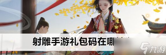 射雕手游礼包码在哪兑换