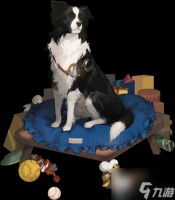 重返未来1999皮克勒斯值得培养吗 皮克勒斯适合什么心相