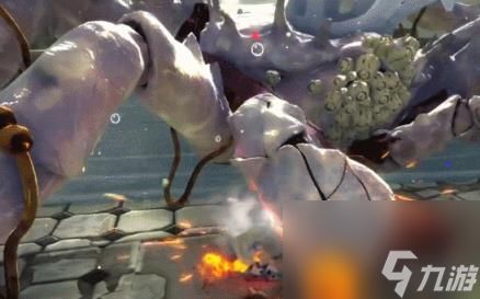 蟹蟹寻宝奇遇漂白之王坎特查打法