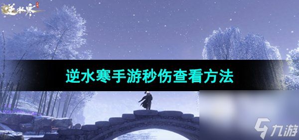 《<a id='link_pop' class='keyword-tag' href='https://www.9game.cn/nishuihan1/'>逆水寒手游</a>》秒伤查看方法