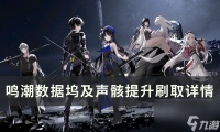 《鸣潮》数据坞及声骸怎么提升刷取 数据坞及声骸提升刷取详情