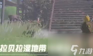 塞尔达传说王国之泪拉贝拉湿地带鸟望台怎么解锁