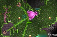 泰拉瑞亚世纪之花怎么召唤 大神召唤方法推荐