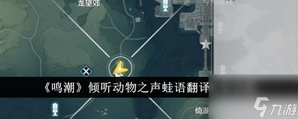 鸣潮倾听动物之声蛙语翻译任务完成方法-鸣潮倾听动物之声蛙语翻译任务怎么完成