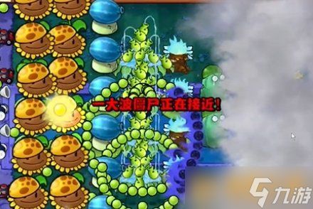 《植物大战僵尸杂交版》冒险19关无小车过关方法，关键的植物摆放位置