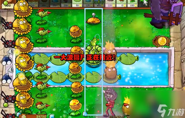 《植物大战僵尸杂交版》冒险第14关怎么过？