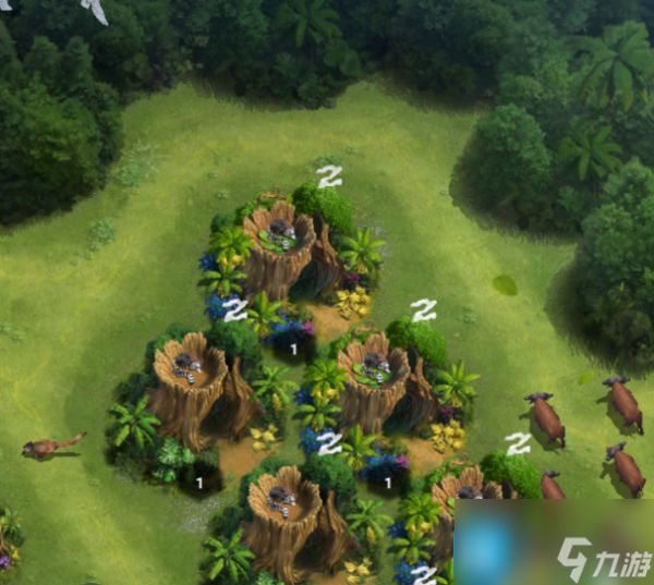 【丛林攻略】兽王领地小管家:狐猴详解