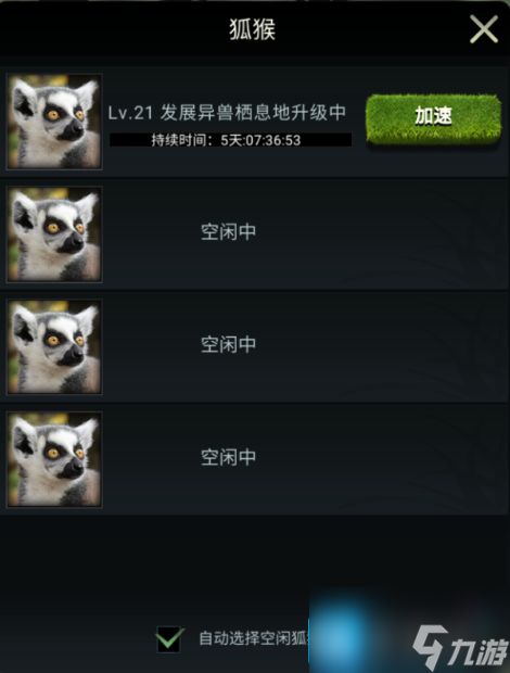 【丛林攻略】兽王领地小管家:狐猴详解