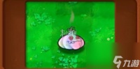 植物大战僵尸杂交版魅惑大蒜属性介绍