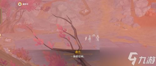 迷错幻渺之境怎么过？迷错幻渺之境攻略