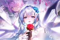 命运圣契阵容搭配攻略