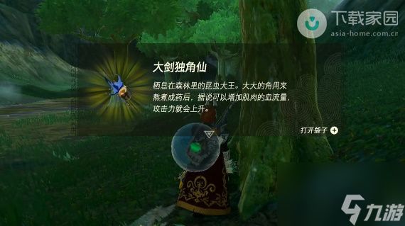 塞尔达传说王国之泪独角仙位置攻略