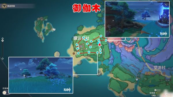 原神御伽木最佳采集区域 原神御伽木采集地点