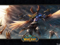 魔兽世界wlk奶德宏大全