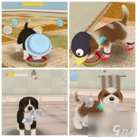 心动小狗怎么办才能养活 《心动小狗》养成小技巧 无处不在的金币