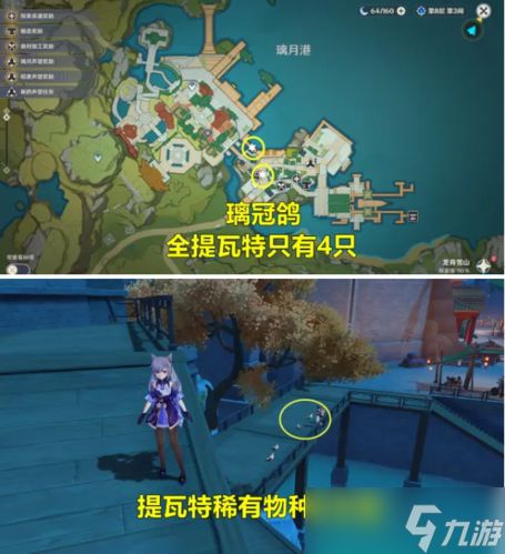 璃冠鸽怎么捕捉？具体捕捉方法详细介绍