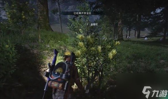 七日世界金银花位置一览