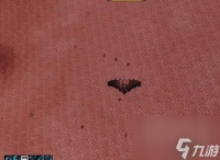 罕见品种,魔兽世界罕见品种成就攻略 弗尔古格在哪里详解