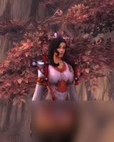 血色十字军幻化,《魔兽世界》幻化心得 不光看脸 刷血色十字军战袍正确姿势