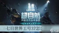七日世界工号37怎么获取