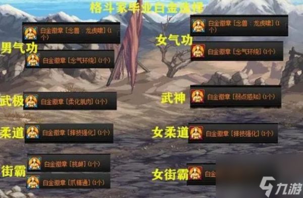 110级狂战士白金徽章选择